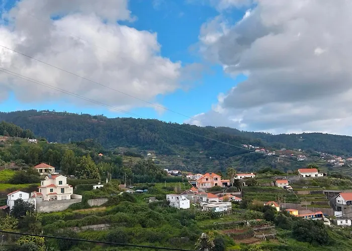 Dotty's House 度假居